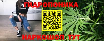 соль ск Лесосибирск