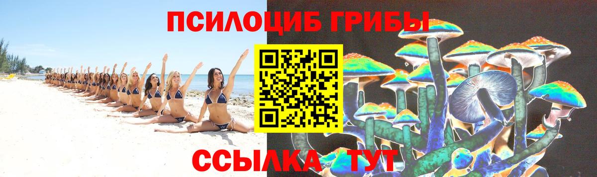 Чистополь  Галлюциногенные грибы Magic Shrooms  Вход с VPN 